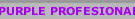 PURPLE PROFESIONAL